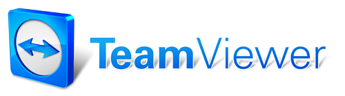 teamviewer download it support